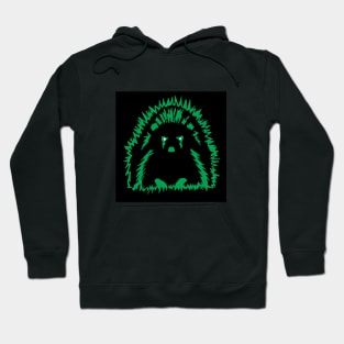 ATOMIC HEDGEHOG ! Hoodie